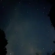安納ポテト［プロフ必読］の画像