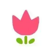 かりんの画像