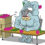 カイリキ子【ポケカ整理】の画像