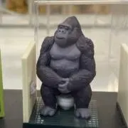 Gori