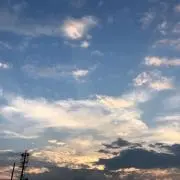 優越館 五感満足 ベストシェイパー - メルカリ