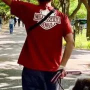 RRMの画像