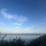 まかろんの画像