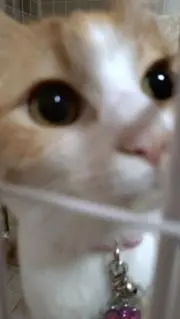 ☆みなみ☆