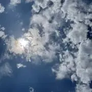 hikariヒカリの画像