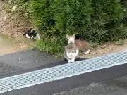 プロフ読んで下さい!！の画像