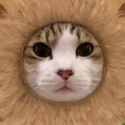 もるきち