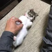 りょーま。