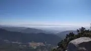 ムラピーの画像