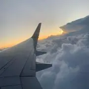 tm.の画像