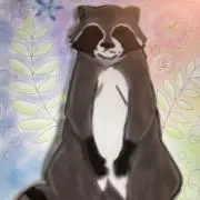 sentaの画像