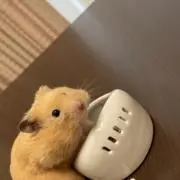 のりち☆
