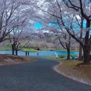 ☺︎