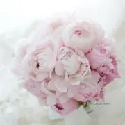 lily ♡。*☆♪・☆*。♡