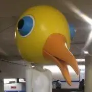 ころんの画像