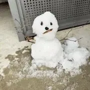 ぴよりんの画像