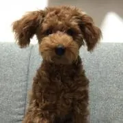 まめぞう☆必ずプロフ読んでね‼︎