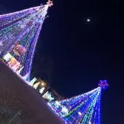 ユッケ