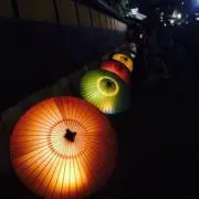 あおいの画像