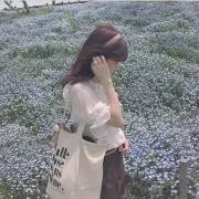 す い【24時間以内発送】の画像
