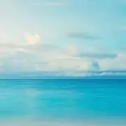 すみれ