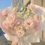 Hinanoの画像
