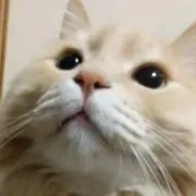 まみーず✾プロフ読んでくださいね(^^)
