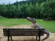 どっきどきドアラの画像