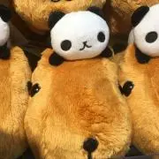 カピバラの画像
