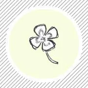euの画像