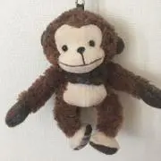 じゅんこの画像