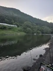 tsurisuki