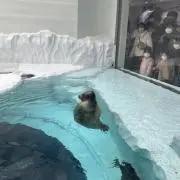 さこんじ