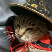 Yukikonan
