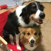 あゆふくの画像