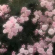 ♡の画像