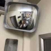 ぱおーんの画像