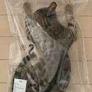 おとの画像
