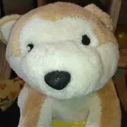 たぬの画像