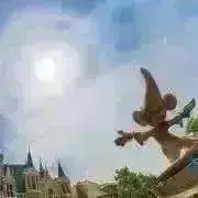 RINの画像