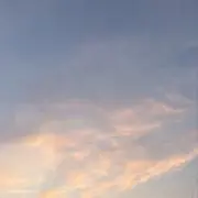 ここあの画像