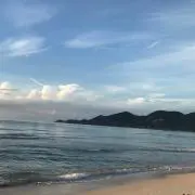 Q_プロフ必読の画像