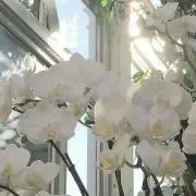 •*¨*•.¸¸☆*・゜の画像
