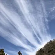 ウッディ