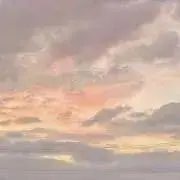 mochiの画像