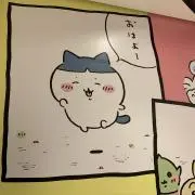 ぱっち