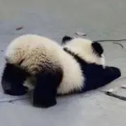 ぱんださん