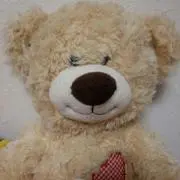 kuma☆要コメント、在庫確認します。の画像