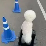 ユン·ファミの画像