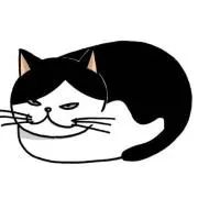 ハチワレニャンコ